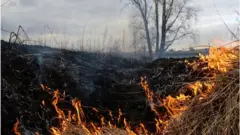 Astaranın Diqo kəndinin Pəlikeş ərazisi Şəvqu yanğınlar