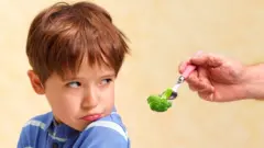 وعدهٔ غذایی