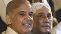 شہباز، زرداری