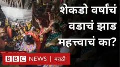 वडाचं झाड