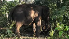Maia observa o corpo da amiga Guida, no santuário, em Chapada dos Guimarães
