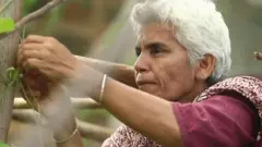 મીનાક્ષી
