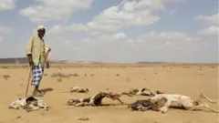 સોમાલિયા