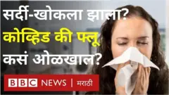सर्दी