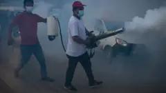 डेङ्गी नियन्त्रण गरिँदै