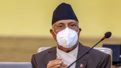 ओली