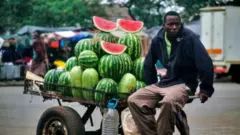 Melon