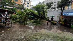 গাছ ভেঙে পড়ে ধানমন্ডি - ১৬, আগের ২৭ নম্বরের একটি সড়কে