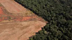 Imagem mostra desmatamento próximo a uma floresta na fronteira entre Amazônia e Cerradobwin withdrawal problemsNova Xavantina, Mato Grosso