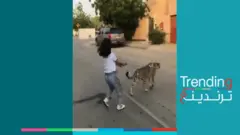 طفلة سعودية تتجول بفهد في الشارع!