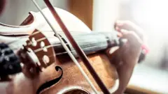 Violin