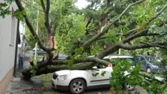 Nevreme u Beogradu