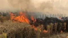 آلودگی در هند؛ آتش کشاورزان و دودی که به چشم همه می‌رود