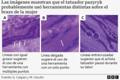 Cuadro de tres imágenes del escáner de alta resolución del cuerpo de la mujer, con un tono morado. Las tres imágenes muestran partes de la piel y el tatuaje de la mujer con líneas a través de la piel que son el tatuaje. Muestran diferentes marcas hechas con diferentes herramientas.