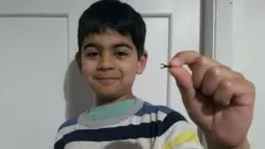 سمیر انور