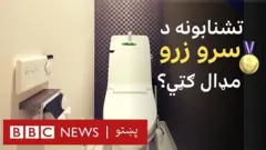 د ټیکنالوجۍ هنر او که نا اړین لګښتونه؟ که تاسو ورته هر څه فکر کوئ، خو دوی واقعاً ګران دي. دلته د جاپان تشنابونو ته لنډه کتنه شوې.