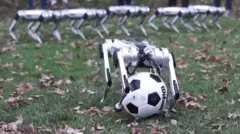 이것은 치타인가 로봇인가