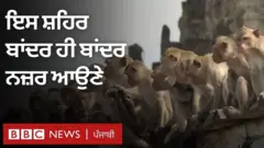 ਥਾਈਲੈਂਡ ਦੇ ਇਸ ਸ਼ਹਿਰ ਵਿੱਚ ਨਜ਼ਰ ਆਉਂਦੇ ਹਨ ਬਾਂਦਰ
