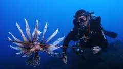 Mergulhador embaixo do mar com peixe-leão capturado