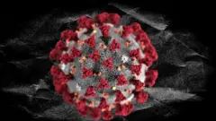 ကိုရိုနာဗိုင်းရပ်စ်အတွက် ကာကွယ်ဆေး ရှာဖွေနေကြ