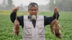তিরিশ বছর ধরে ইঁদুর ধরেন আনোয়ার হোসেন