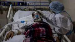 အိန္ဒိယနိုင်ငံမှာ ကိုဗစ်ကူးစက်ခံခဲ့ရသူ စုစုပေါင်း ၃၂ သန်း နီးပါး ရှိနေပြီး ကိုဗစ်ကူးစက်ခံခဲ့ရသူ ကမ္ဘာပေါ်မှာ ဒုတိယ အများဆုံး အဖြစ် စံချိန်တင်နေတဲ့ နိုင်ငံဖြစ်