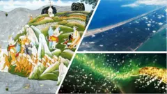 రామ సేతు