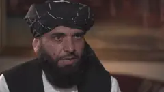 سہیل شاہین
