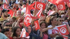 Tunisia football fans