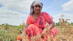 కడప యురేనియం ప్రాజెక్టు