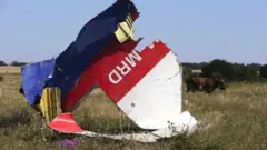 Wreckage of a plane in a field where cows are grazing
