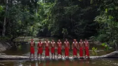 在大約50年前，自第一次與外界接觸以來，巴西本土的瓦亞皮（Waiapi）群體幾乎所有人都死於傳染病。