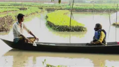 ভাসমান কৃষি