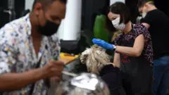 A hairdresser colors a customer"s hair in Brisbane, Australia, 25 March 2020