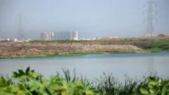 பள்ளிக்கரணை சதுப்பு நிலம்