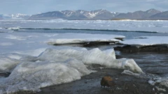 The newly-discovered island off Greenland's coast