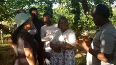 ሓረስተይቲ ሃረጉ ኣብ ናይ ሕርሻ ቦትኣ