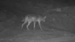 Naya pictured on camera