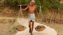 गोबार ख़रीदेगी छत्तीसगढ़ सरकार, गोमूत्र ख़रीदी