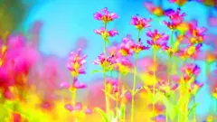 Psychedelic artwork