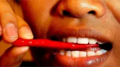 ਮੰਨਿਆ ਜਾਂਦਾ ਹੈ ਕਿ ਮਿਰਚ ਭਾਰਤ ਵਿੱਚ ਪੁਰਤਗਾਲੀ ,ਦੱਖਣੀ ਅਮਰੀਕੀ ਲੈ ਕੇ ਆਏ ਸਨ