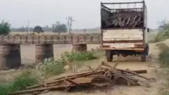 પુલ