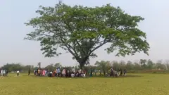 अनोखी लाइब्रेरी