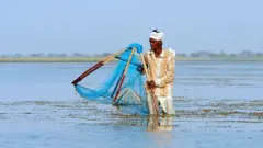 સરોવર