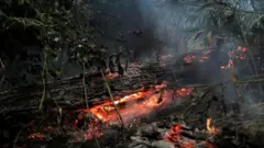 Incêndio na floresta amazônica, em Rondônia