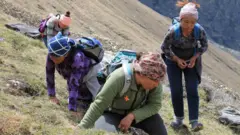 यारसागुंबा