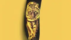 কলার খোসায় বাঘের ছবি