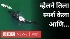 अर्जेंटिनामधली ही घटना आहे.
