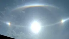 Aduu sadii fakkaachuun Wallagga Bahaa Naqamtetti samiirratti mul'atte jedhamte