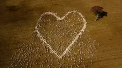 Овечье сердце